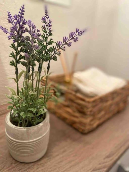 Zentrale Wohnung Gmunden Alte Baeckerei Екстер'єр фото